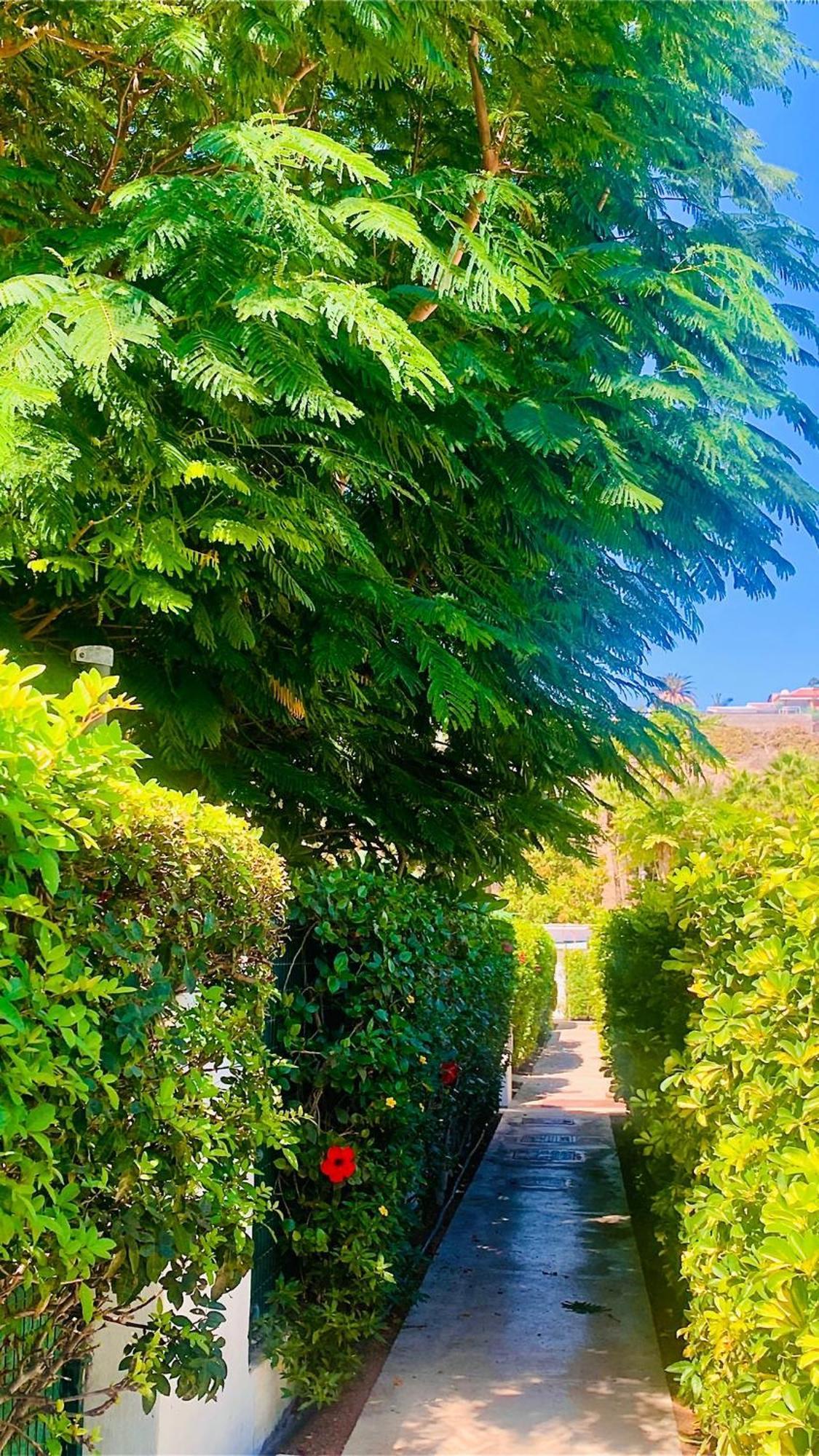 Ahtha Green Bungalow Maspalomas San Bartolomé エクステリア 写真